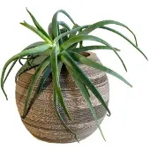 KarTent Kartonnen plantenpot yucca - Diameter 40 cm -