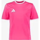 Adidas Functioneel shirt 'Entrada26' pink