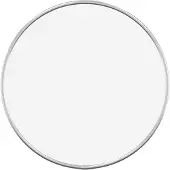 vidaXL Wandspiegel rond Ø30 cm zilverkleurig