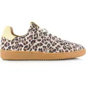 DWRS Label Poona leopard