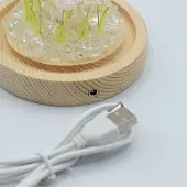 Ancient Wisdom Bloemenpracht Tuinkoepel - 10 Roze Rozen - LED USB