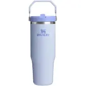 Stanley Gourde The IceFlow Flip Straw 2.0