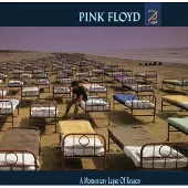 Sony music Pink Floyd - A Momentary Lapse Of Reason
