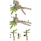Stocker Top Grafting Machine