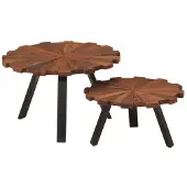 vidaXL Salontafels 2 st massief gerecycled hout en ijzer