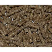 Rotech Spuit lokmiddel voor muizen en ratten