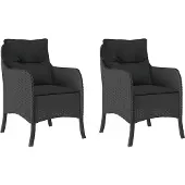 vidaXL Tuinstoelen met kussens, 2 stuks, zwart, polyrotan