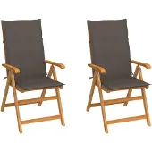 vidaXL Klapstoelen, 2 stuks, met taupekleurige kussens, gemaakt van massief teakhout