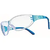 MSA The Safety Company MSA Perspecta 10045517 veiligheidsbril