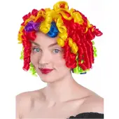 Maskworld Regenboog clown pruik - Carnaval Kostuum Pruik