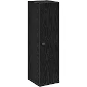 vidaXL Badkamerkast met rolhouder 20,5x22x72 cm zwart