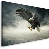 Karo-art Schilderij - Adelaar in de Storm, Premium Print