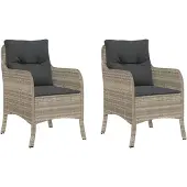 vidaXL Tuinstoelen met kussens, 2 stuks, lichtgrijs, polyrotan
