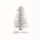 Clayre & Eef Servetten Papier Set van 20 33x33 cm Wit Papier Winter