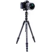 Vanguard Vesta TB 204CB