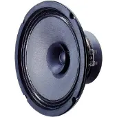 Visaton BG 17 - 8 Ohm -16 cm (6.5") full-range luidspreker