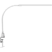 MAUL LED-klemverlichting MAULpirro - 7 W - dimmer met 4 standen - 390 lm - zwenkbaar - klembreedte 45 mm - wit
