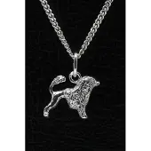 MOOYE ® - Collectie Zilveren Cao de aqua ketting hanger - klein