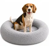 Belviona donut-hondenbed, knus hondenbed van pluche met zachte vulling, goede stabiliteit en een ergonomische rand, diameter 80 cm, lichtgrijs