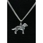 MOOYE ® - Collectie Zilveren Afghaanse windhond ketting hanger