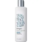 Briogeo Scalp Revival Dandruff Relief Shampoo 248 ml