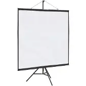 vidaXL Projectiescherm met statief 67 inch 1:1