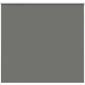 vidaXL Rolgordijn verduisterend 165x175 cm stofbreedte 161,6 cm grijs