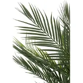J-Line Palmboom Pot kunststof Groen