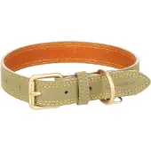 Flamingo - Hond Halsband Virginia Groen M / L 38-48cm 25mm