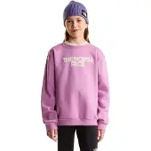 The North Face Chalbi Graphic Sweatshirt