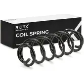 RIDEX 188C2490 Chassisveer
