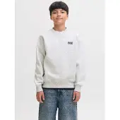 Jack & Jones Kids Junior Sweatshirt 'JJEColton' lichtgrijs