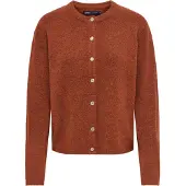 ONLY Gebreid vest 'ONLSimoni' roestrood