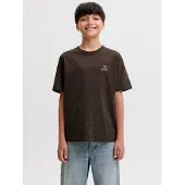Jack & Jones Junior Shirt lichtblauw / bruin / cappuccino / mauve