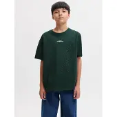 Jack & Jones Junior Shirt 'JJBAY' donkergroen / wit