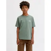 Jack & Jones Junior Shirt 'JORNORREBRO' mintgroen / wit