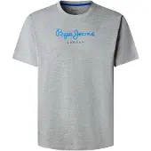 Pepe Jeans Shirt blauw / grijs