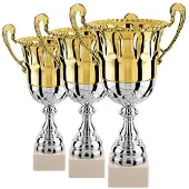 Sporti France Trophy 3 Units Goud