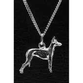 MOOYE ® - Collectie Zilveren Moonflower dog ketting hanger - groot