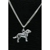 MOOYE ® - Collectie Zilveren Ierse setter ketting hanger