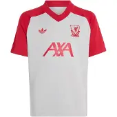 Adidas Functioneel shirt 'FC Liverpool 26/27' grijs / rood
