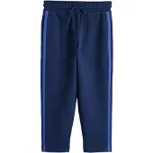 Next Broek navy / royal blue/koningsblauw