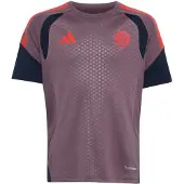 Adidas Functioneel shirt 'FC Bayern München 26/27' navy / lichtlila / rood