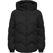 JDY Power short hood puffer