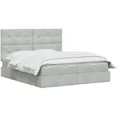 vidaXL Opbergbed met hoofdeinde, lichtgrijs, 200 x 200 cm, fluweel
