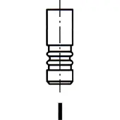 IPSA R4611/BMARCR Uitlaatklep