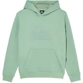 Quiksilver - Kid's Comp Logo Hoodie - Hoodie 14, groen