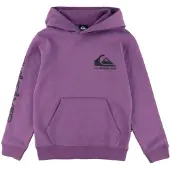 Quiksilver Omni Logo Hoodie