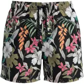 OMBRE Zwemshorts olijfgroen / pink / zwart / wit