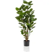 Green Boutiq Kunstplant - Polyscias - Aralia - 105 cm